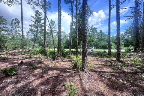 Land in Georgetown, Florida № 2233600 - photo 4