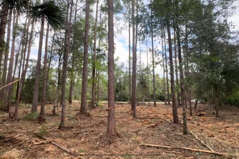 Land in Georgetown, Florida № 2233600 - photo 5