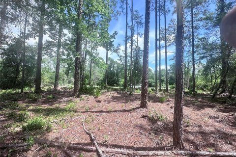 Land in Georgetown, Florida № 2233600 - photo 3