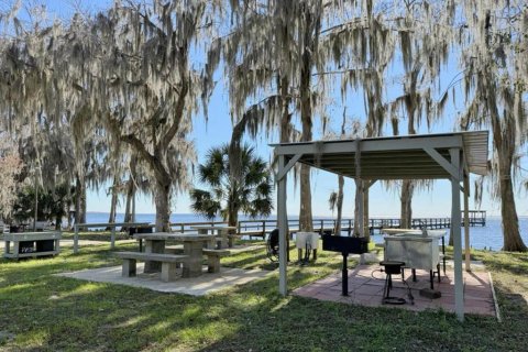 Land in Georgetown, Florida № 2233600 - photo 6