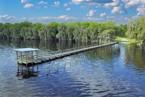Land in Georgetown, Florida № 2233600 - photo 7