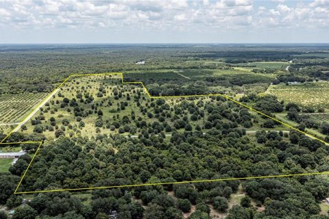 Купить земельный участок в Аркадия, Флорида № 2330872 - фото 19