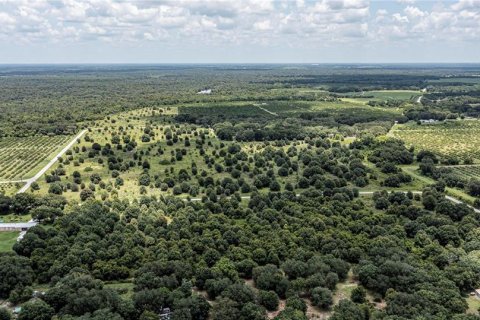 Купить земельный участок в Аркадия, Флорида № 2330872 - фото 18