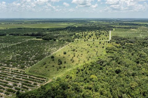 Купить земельный участок в Аркадия, Флорида № 2330872 - фото 24