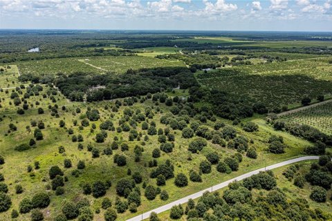 Купить земельный участок в Аркадия, Флорида № 2330872 - фото 10