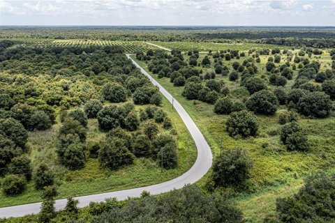 Купить земельный участок в Аркадия, Флорида № 2330872 - фото 20