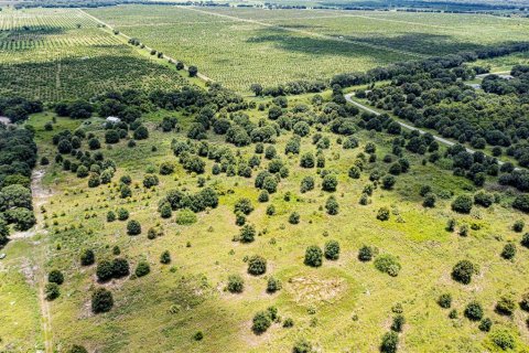 Купить земельный участок в Аркадия, Флорида № 2330872 - фото 14