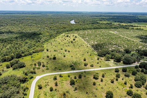 Купить земельный участок в Аркадия, Флорида № 2330872 - фото 13