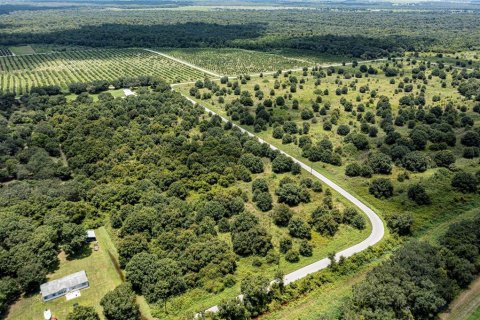 Купить земельный участок в Аркадия, Флорида № 2330872 - фото 7