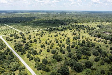 Купить земельный участок в Аркадия, Флорида № 2330872 - фото 5