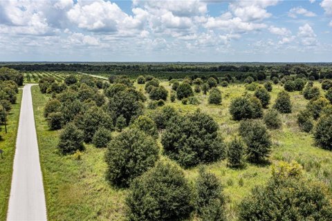 Купить земельный участок в Аркадия, Флорида № 2330872 - фото 4