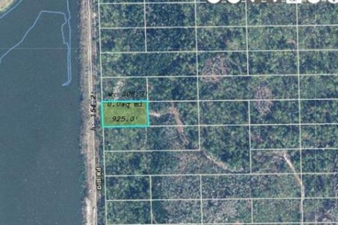 Land in Orlando, Florida № 2118551