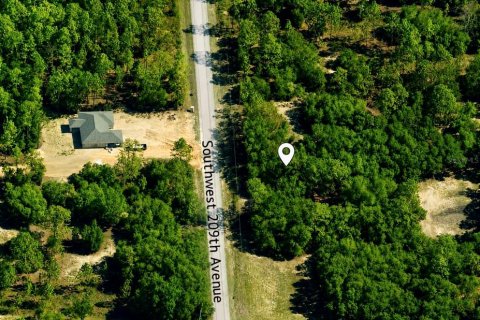 Terrain à Dunnellon, Floride № 2207072