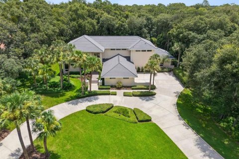 Casa en venta en Longwood, Florida, 4 dormitorios, 523.6 m2 № 2167090 - foto 3