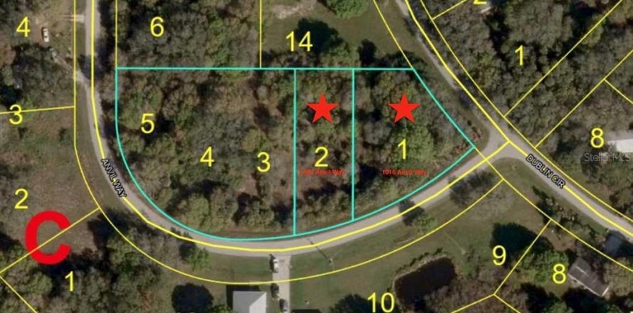 Land in Moore Haven, Florida № 2159053