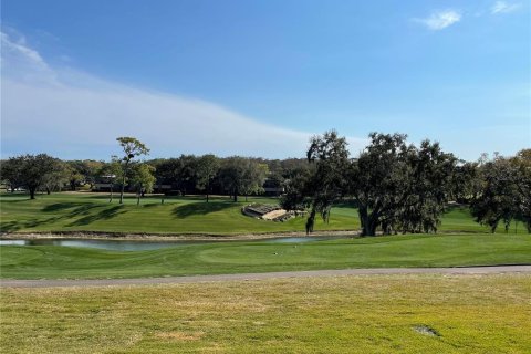Condo in Palm Harbor, Florida, 1 bedroom  № 2202535