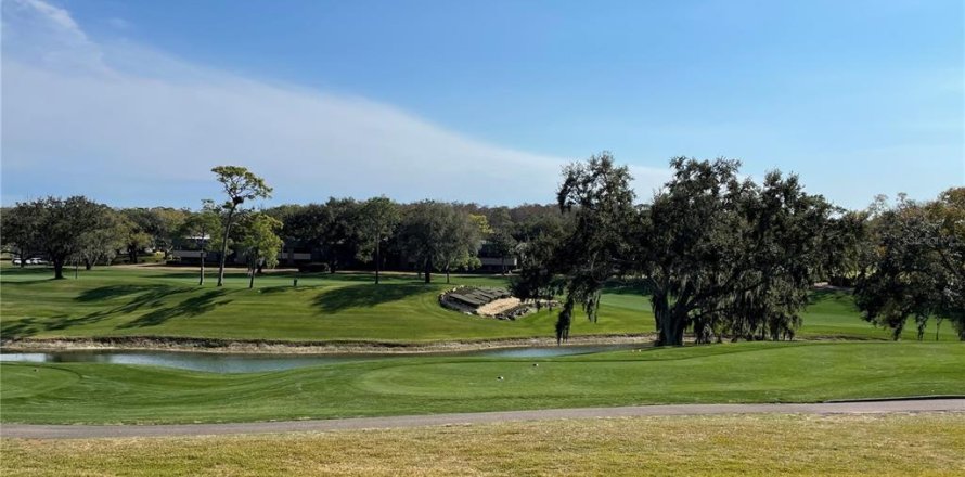 Condo in Palm Harbor, Florida, 1 bedroom № 2202535