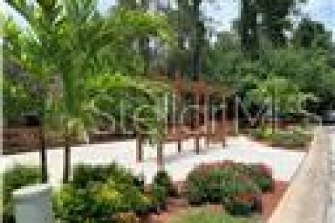 Condo in Palm Harbor, Florida, 1 bedroom № 2202535 - photo 20