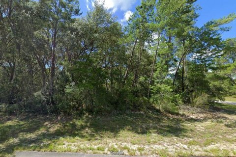 Land in Ocala, Florida № 1613592 - photo 1