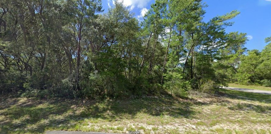 Land in Ocala, Florida № 1613592