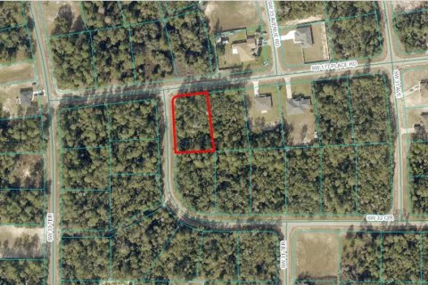 Land in Ocala, Florida № 1613592 - photo 2