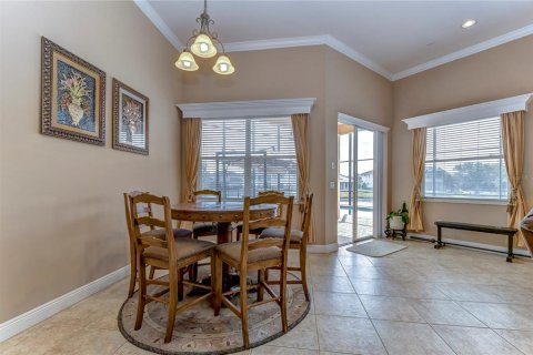 Villa ou maison à louer à Tampa, Floride: 6 chambres, 448.63 m2 № 2303274 - photo 16