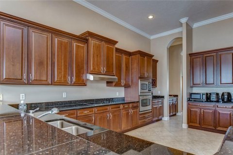 Villa ou maison à louer à Tampa, Floride: 6 chambres, 448.63 m2 № 2303274 - photo 14