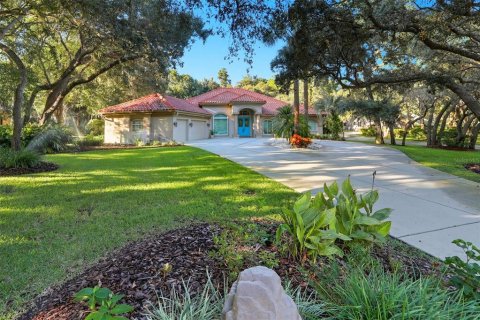 Villa ou maison à vendre à Hernando, Floride: 5 chambres, 357.77 m2 № 2408335 - photo 4