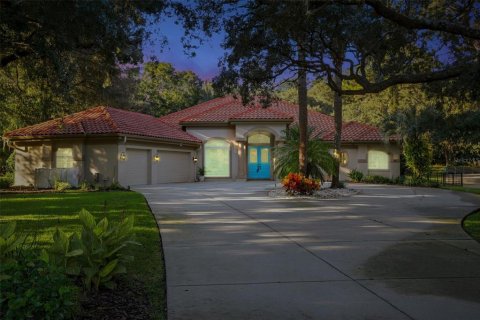 Villa ou maison à vendre à Hernando, Floride: 5 chambres, 357.77 m2 № 2408335 - photo 3