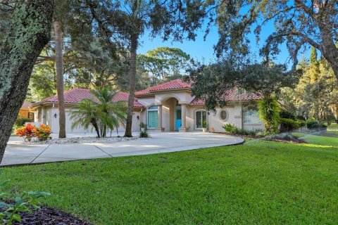 Villa ou maison à Hernando, Floride 5 chambres, 357.77 m2 № 2408335