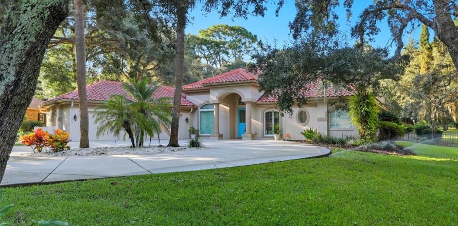 Villa ou maison à Hernando, Floride 5 chambres, 357.77 m2 № 2408335