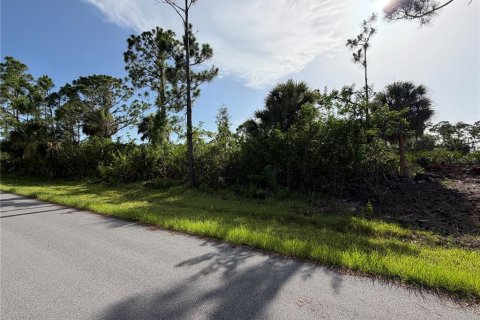 Land in Port Charlotte, Florida № 2208471 - photo 2