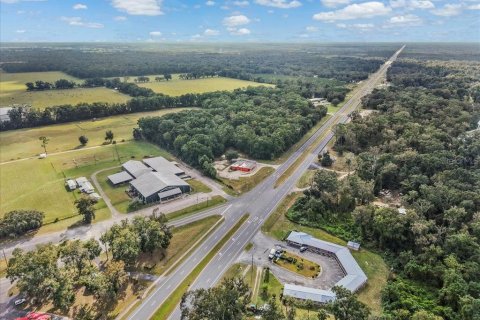 Commercial property in Trenton, Florida 376.16 sq.m. № 2142845 - photo 5