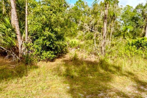 Terreno en Indian lake estates, Florida № 2239929