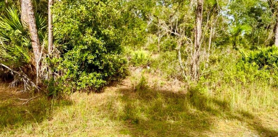 Land in Indian lake estates, Florida № 2239929