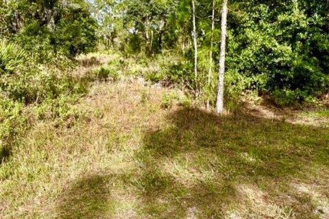 Land in Indian lake estates, Florida № 2239929 - photo 2