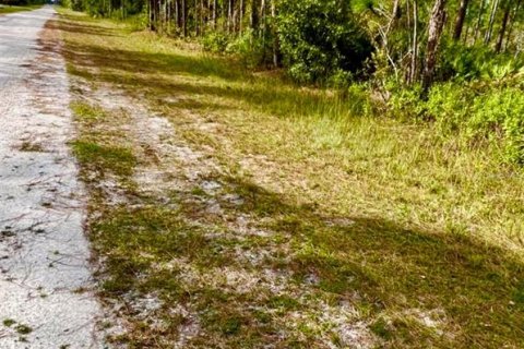 Land in Indian lake estates, Florida № 2239929 - photo 3
