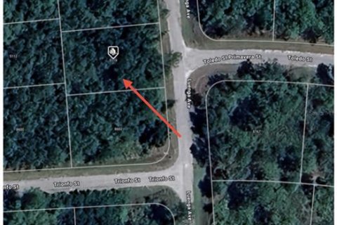 Land in Sebring, Florida № 2159015 - photo 2