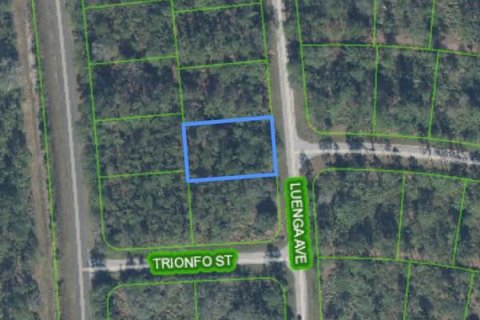 Land in Sebring, Florida № 2159015 - photo 8