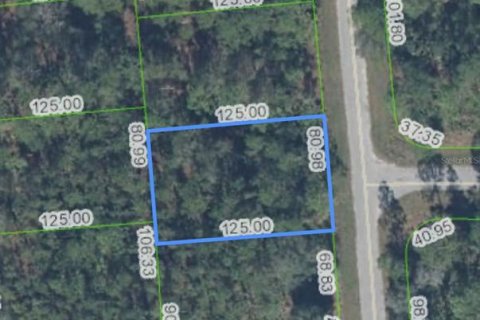 Land in Sebring, Florida № 2159015