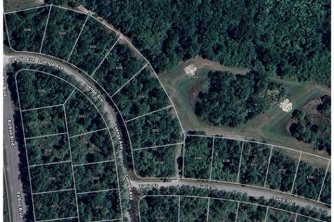 Land in Sebring, Florida № 2159015 - photo 5