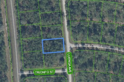Land in Sebring, Florida № 2159015 - photo 9