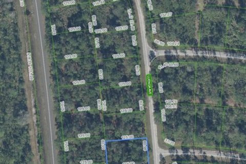 Land in Sebring, Florida № 2159015 - photo 10