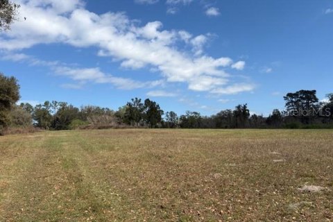 Terreno en venta en Wildwood, Florida № 1390337 - foto 6