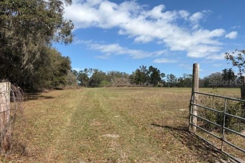 Terreno en venta en Wildwood, Florida № 1390337 - foto 4