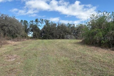 Terreno en venta en Wildwood, Florida № 1390337 - foto 10