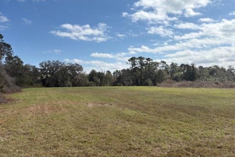 Terreno en venta en Wildwood, Florida № 1390337 - foto 11