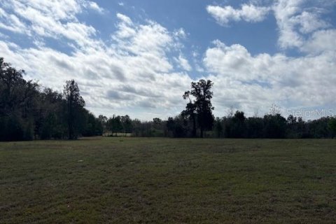 Terreno en venta en Wildwood, Florida № 1390337 - foto 16