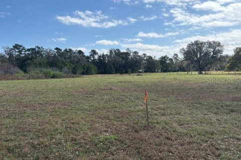 Terreno en venta en Wildwood, Florida № 1390337 - foto 8