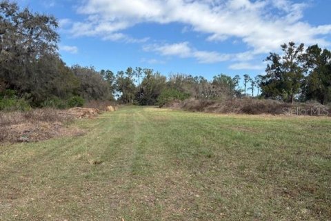 Terreno en venta en Wildwood, Florida № 1390337 - foto 7